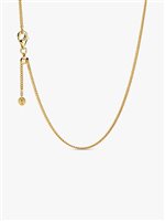 Collana Pandora Donna in Argento 368638C00-60